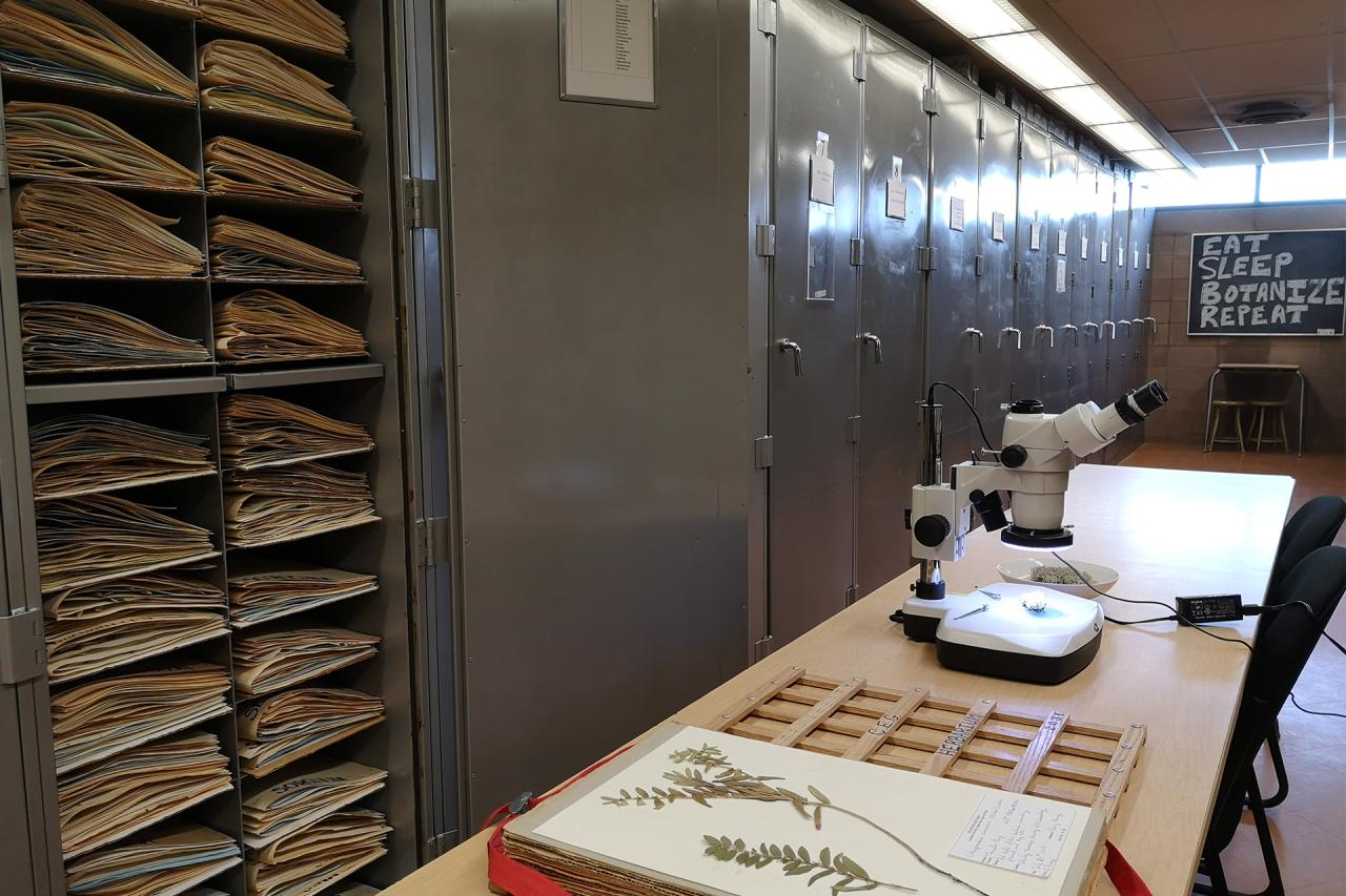 The Claude E. Garton Herbarium's digital collection public