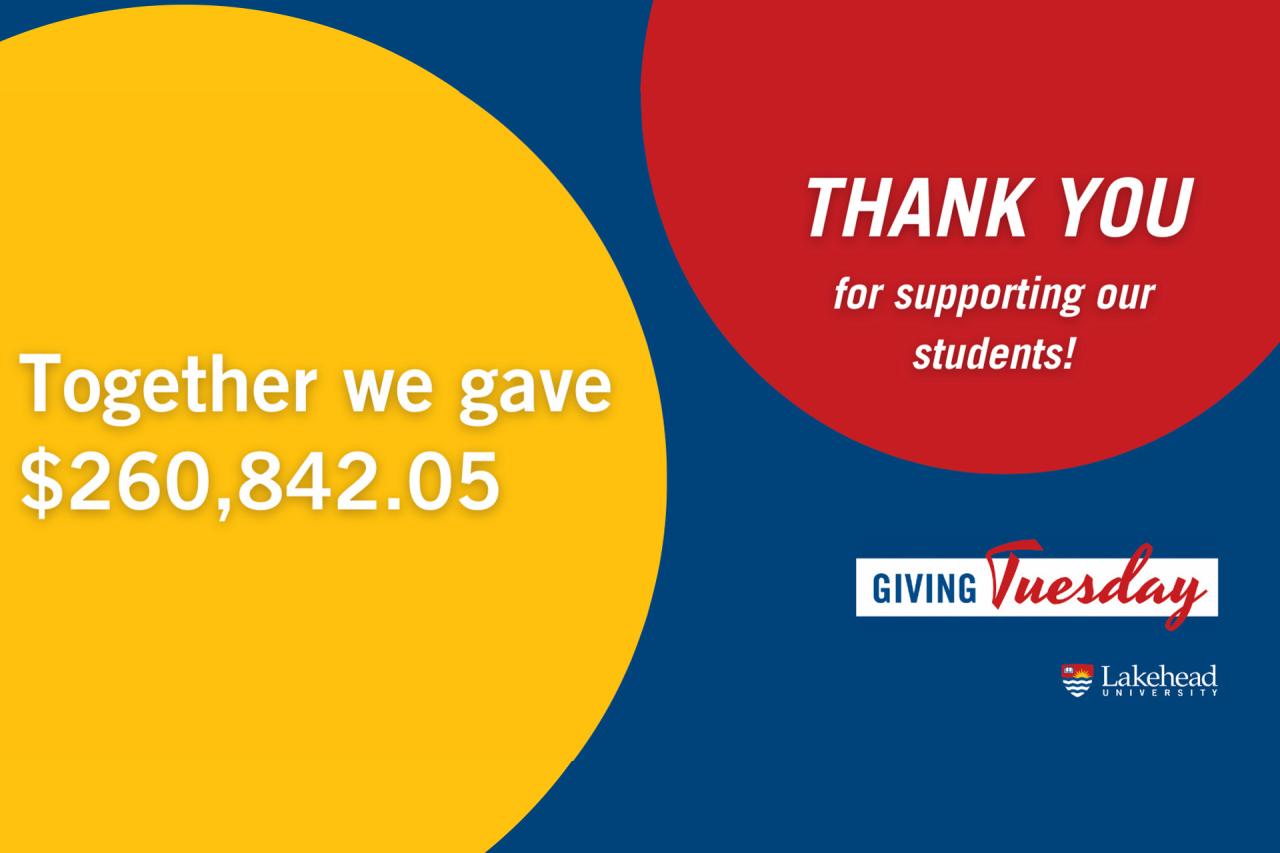 Together We Gave Giving Tuesday 2022