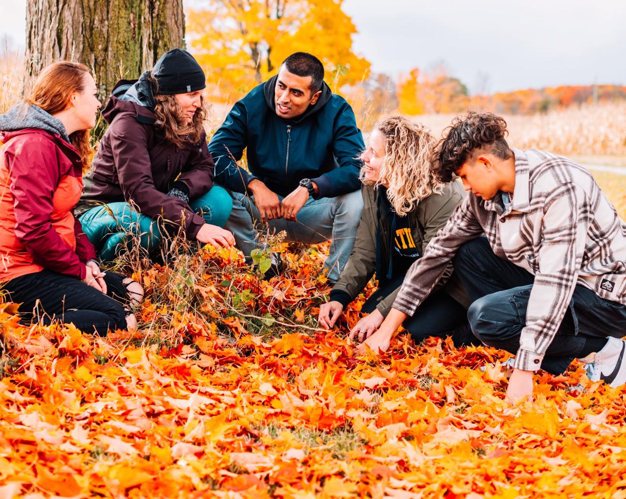 Orillia Fall