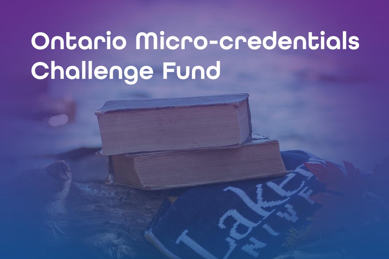 Ontario Micro-credentials Challenge Fund