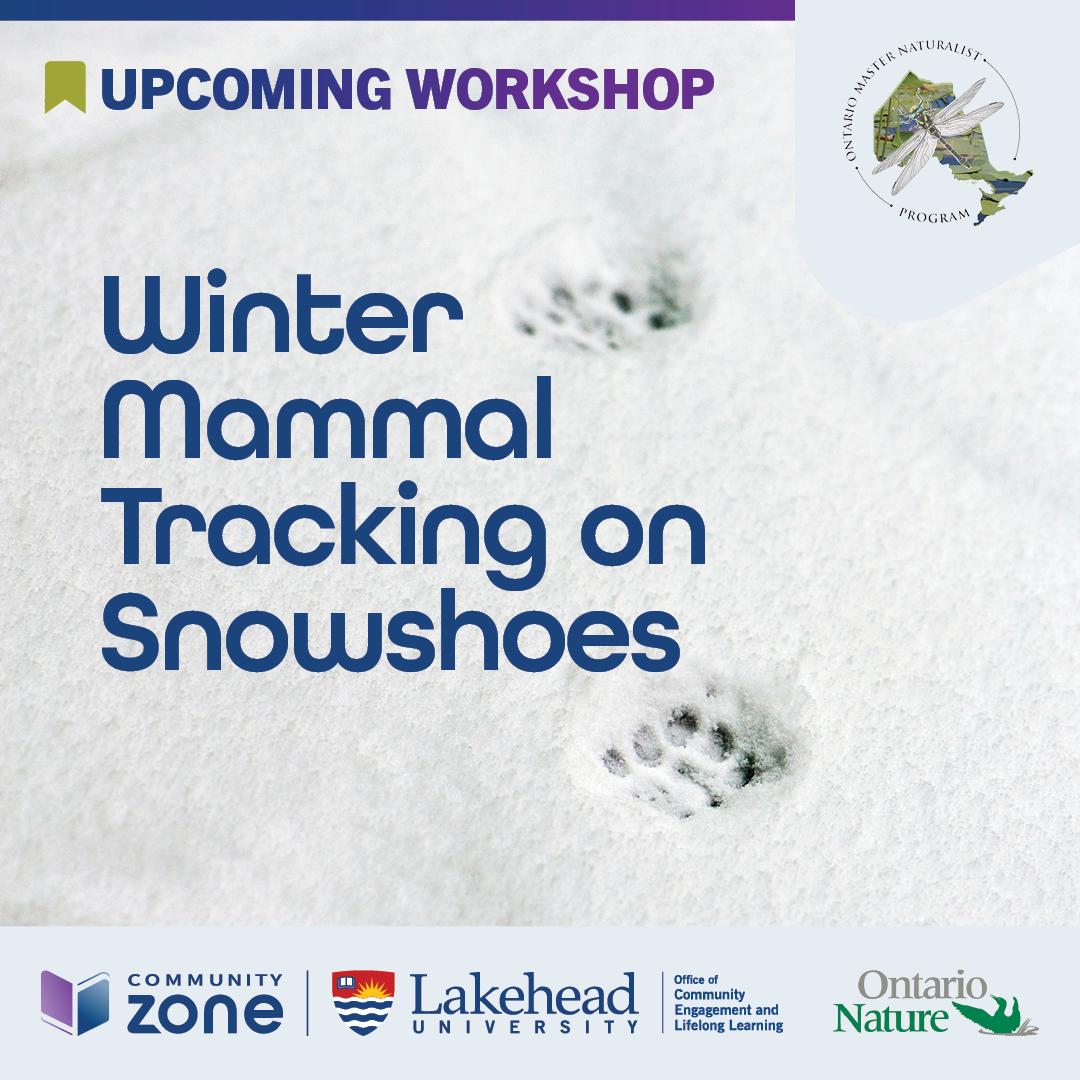 Winter Mammal