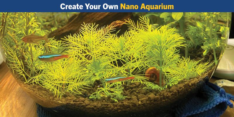 nano aquarium